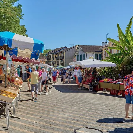 Apartment Calme Avec Wifi Et Parking A Barbotan-les-Thermes