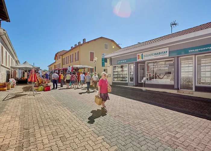 Appartement Calme Avec Wifi Et Parking A - Fr-1-841-37 Barbotan-les-Thermes