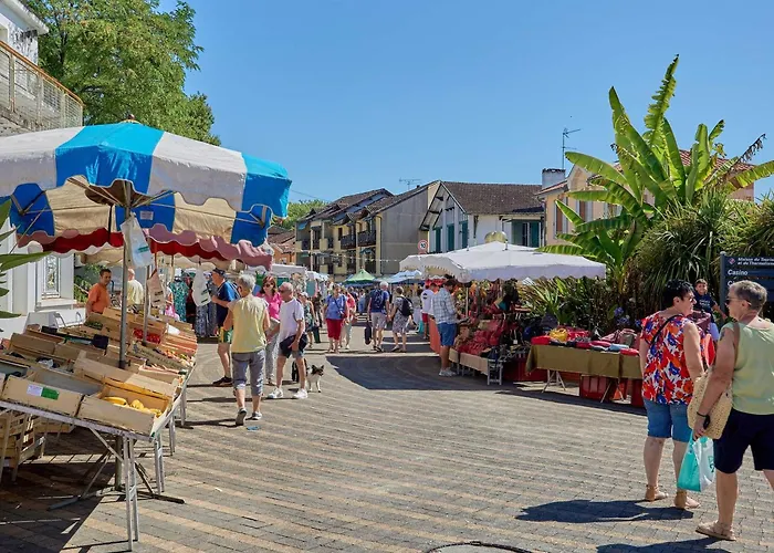 Appartement Calme Avec Wifi Et Parking A - Fr-1-841-37 Barbotan-les-Thermes